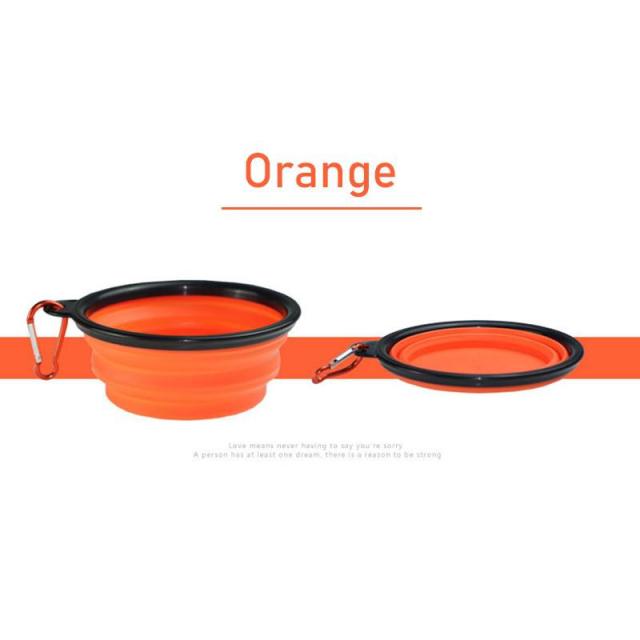 PetVoyage Dual Delight Bowl