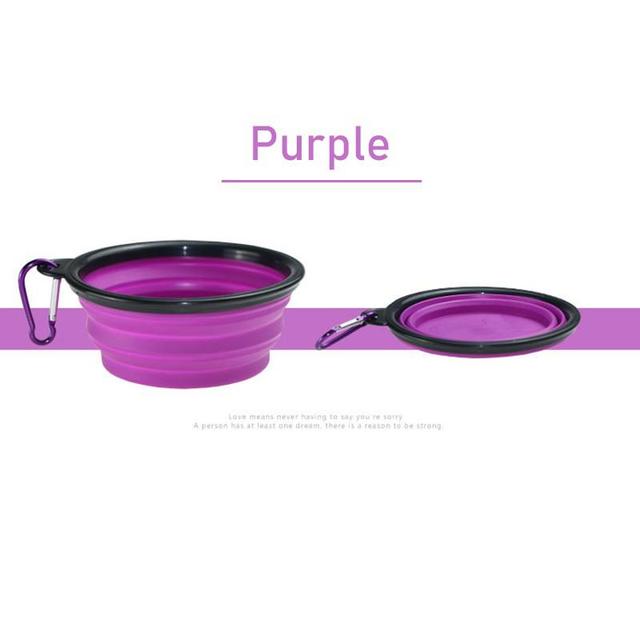 PetVoyage Dual Delight Bowl