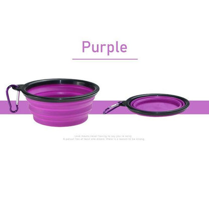 PetVoyage Dual Delight Bowl