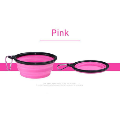 PetVoyage Dual Delight Bowl