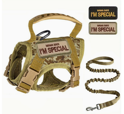 Adjustable Tactical Cat Harness with Leash