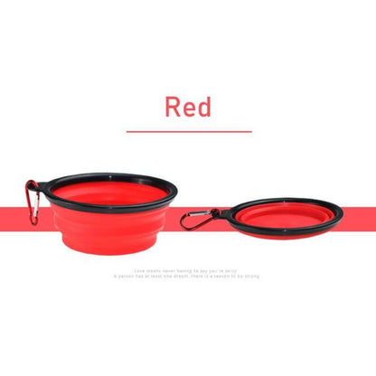 PetVoyage Dual Delight Bowl