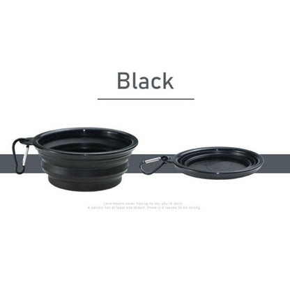 PetVoyage Dual Delight Bowl